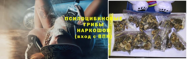 крисы Абдулино