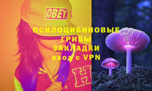 крисы Абдулино